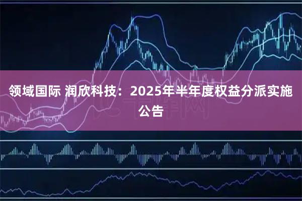 领域国际 润欣科技：2025年半年度权益分派实施公告