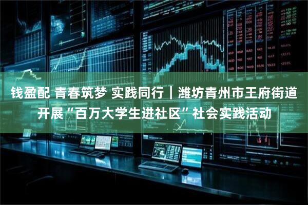 钱盈配 青春筑梦 实践同行｜潍坊青州市王府街道开展“百万大学生进社区”社会实践活动