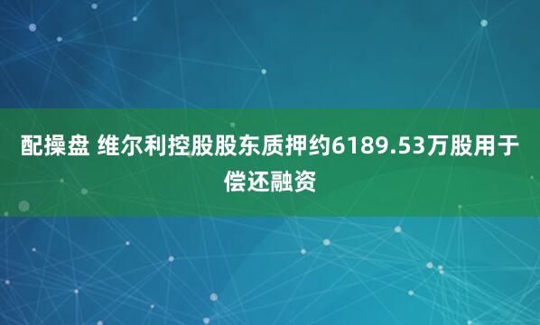 配操盘 维尔利控股股东质押约6189.53万股用于偿还融资
