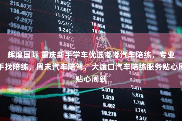 辉煌国际 重庆新手学车优选嘟嘟汽车陪练，专业新手找陪练，周末汽车陪驾，大渡口汽车陪练服务贴心周到